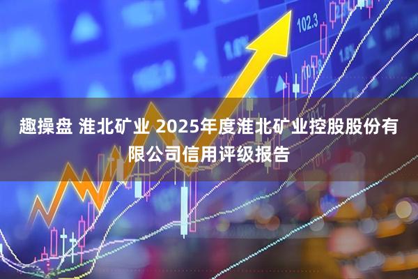 趣操盘 淮北矿业 2025年度淮北矿业控股股份有限公司信用评级报告